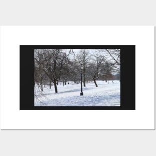 Snowy Park Landscape Posters and Art
